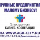 Электронная бизнес-кооперация объединила крупный и малый бизнес Вологодской области