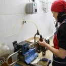 В Череповце наладили производство экологически чистого растительного масла из расторопши и кунжута