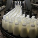 Инвестор молочного завода в Череповце представил мэру Елене Авдеевой информацию о ходе реализации инвестиционного проекта