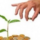 АНО «Центр гарантийного обеспечения МСП» объявляет о начале проведения конкурса по отбору кредитных организаций для размещения средств во вклады (депозиты)